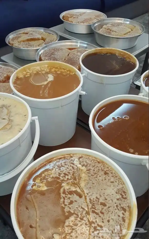 عسل سدر وسمرة إنتاج هذا الموسم 6