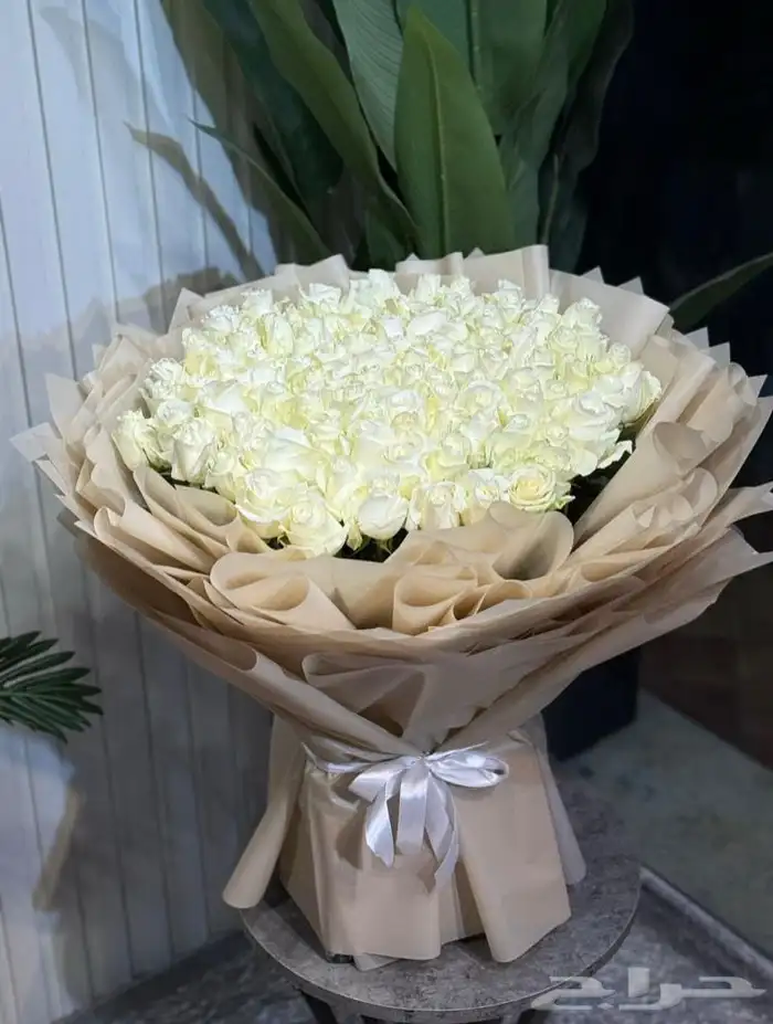 مندوب ومتسوق الرياض 6
