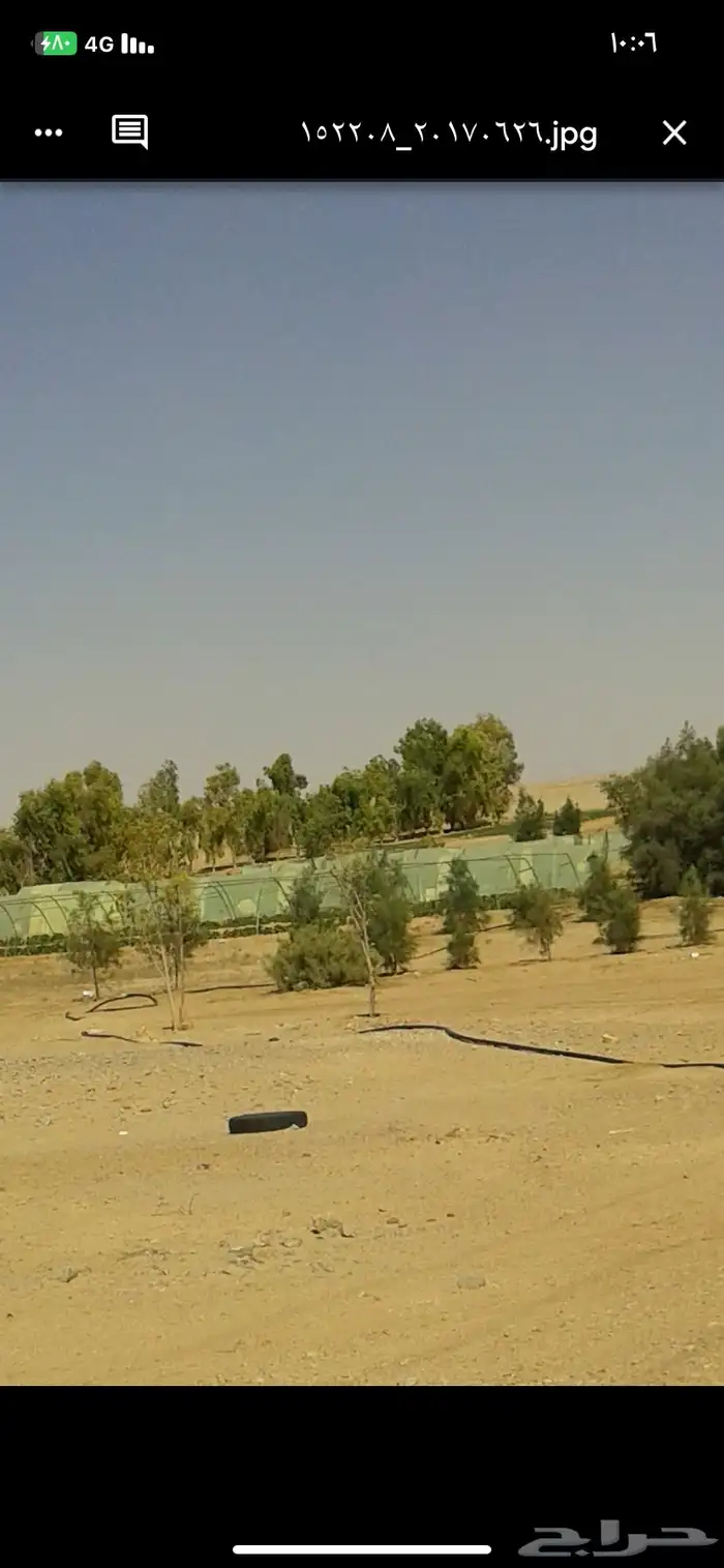 مزرعه للإيجار اليومي 4