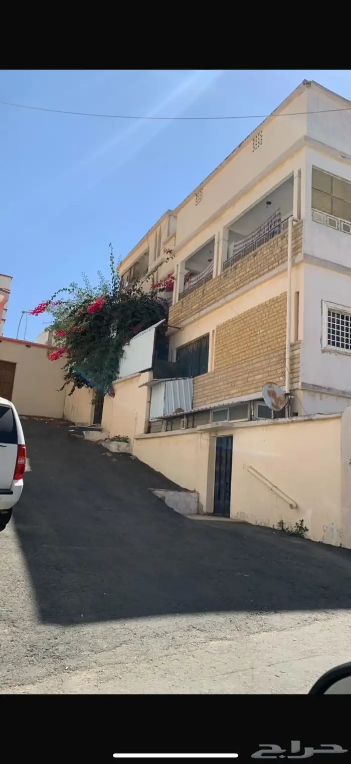 شعبي 0