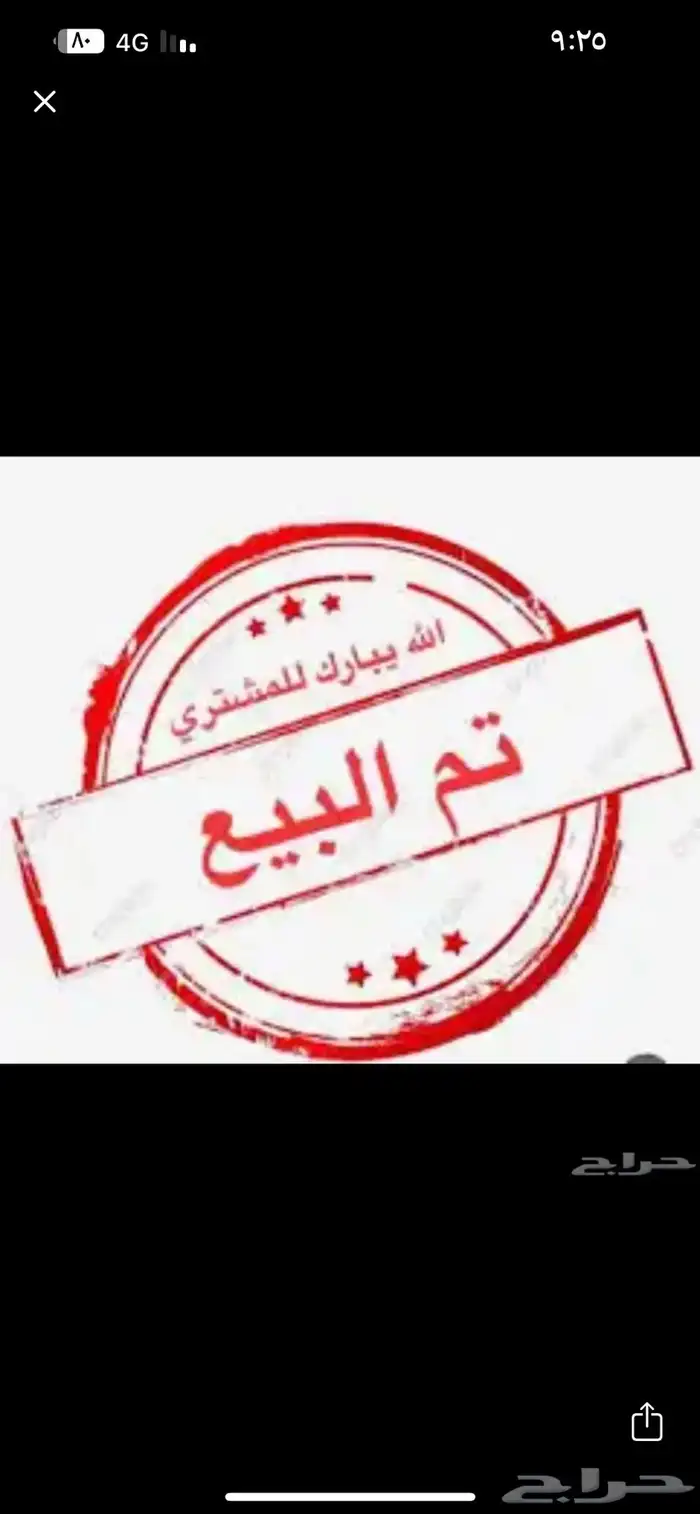 دجاج بلدي 0