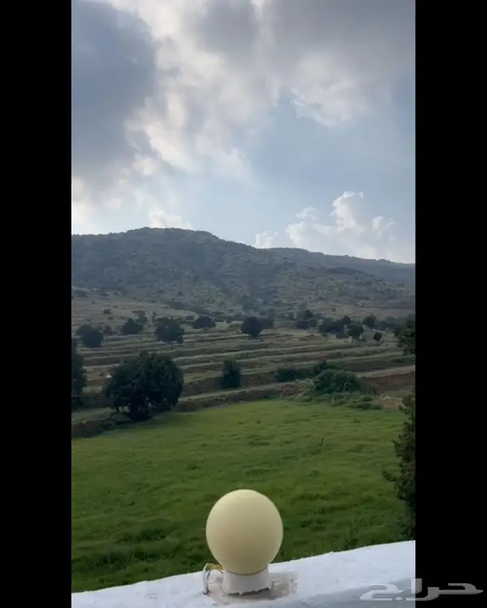 استراحة لولوة رحب تنومة 1