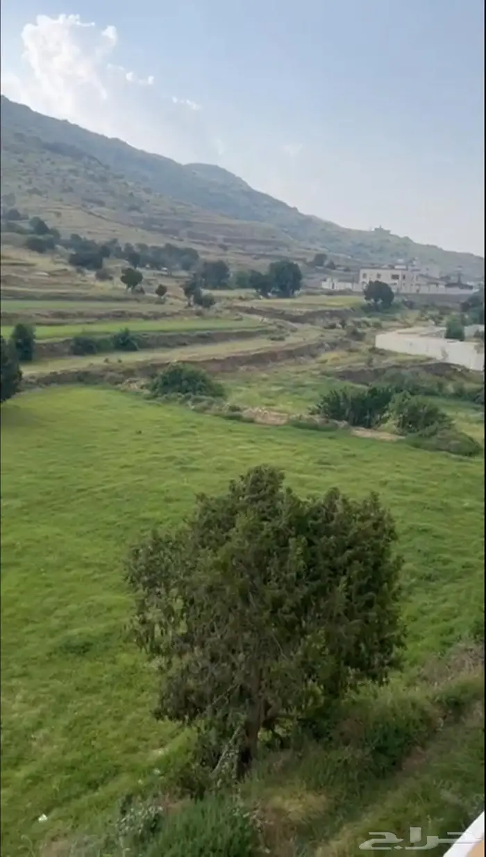 استراحة لولوة رحب تنومة 0