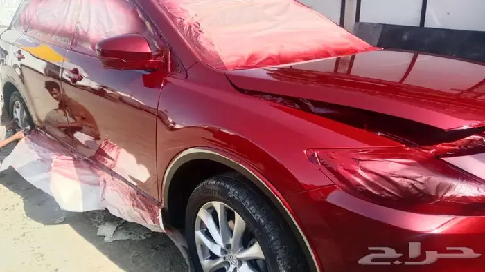 سمكرة بوية رش الفرن بوية الماني ديكسون 9