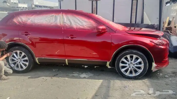 سمكرة بوية رش الفرن بوية الماني ديكسون 2