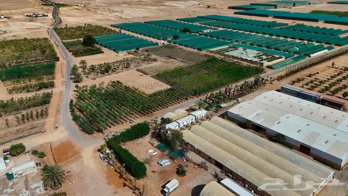 مصور فيديو مصور درون مصور فوتوغرافي الرياض الخرج 3