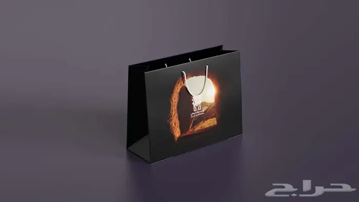 تصميم لوقو لوجو ( شعار) -هويه بصرية 2