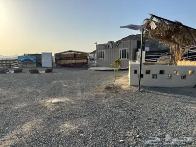 مطل سجه كوفي شوب 1