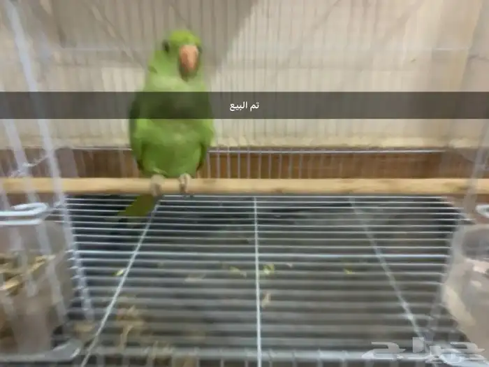 دره نص اليف بس فيه خوف قليل 2