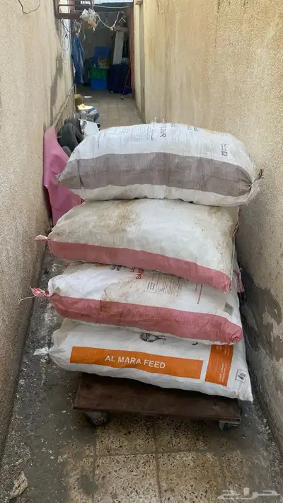 متوفر خبز ناشف للغنم والإبل في خميس مشيط 0