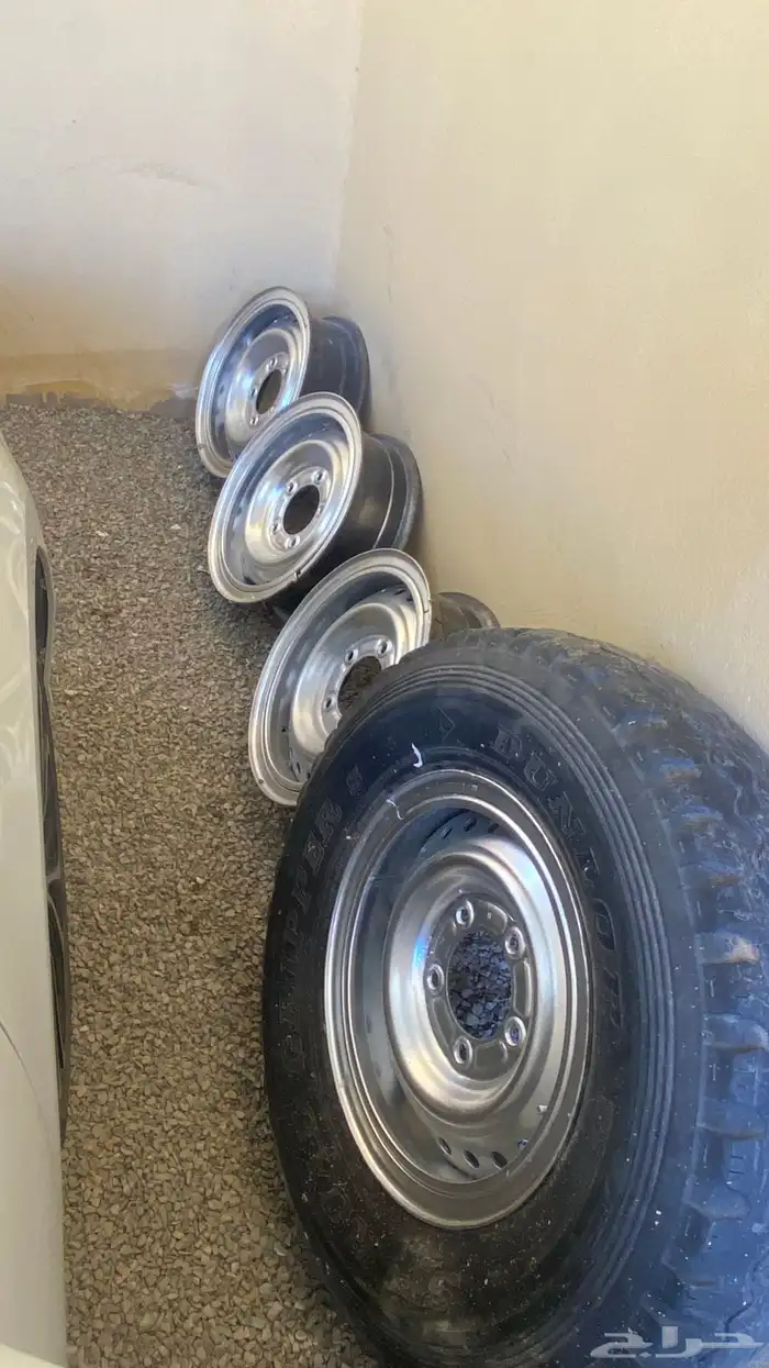 جنوط ربع شنبر اصلي وكالة   شاص 0