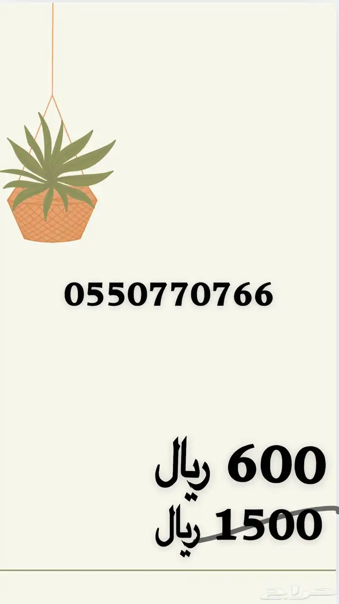 رقم مميز STC 7