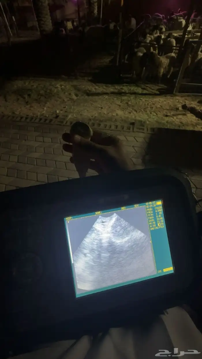 فحص سونار للاغنام و الماعز والخيل 0