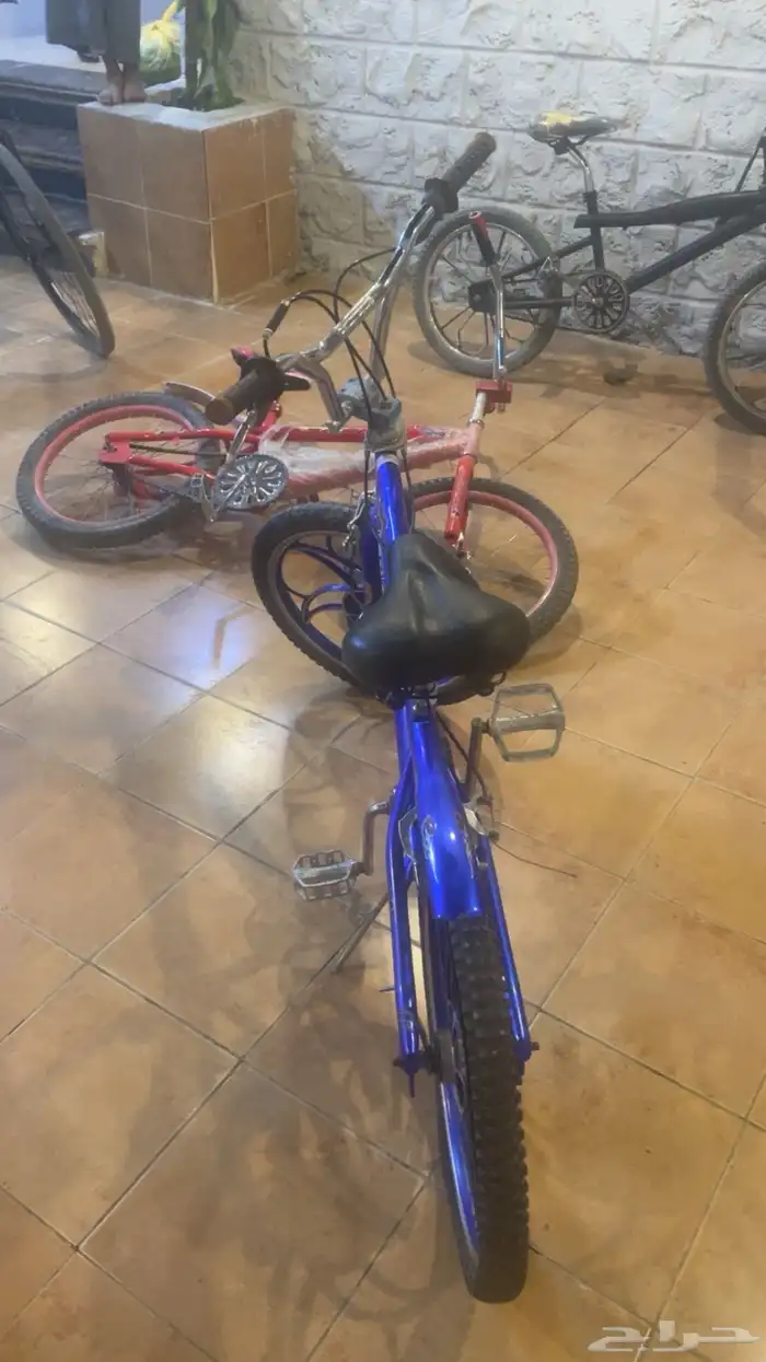 سيكل كوبرا 1