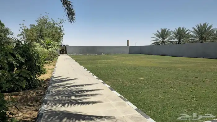 للإيجار اليومي مزرعة و اسطبل ببريدة 4
