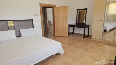 مزرعة الجوهرة للإيجار اليومي ببريدة 25
