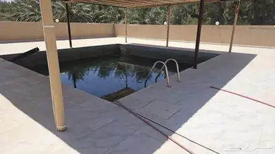 مزرعة الجوهرة للإيجار اليومي ببريدة 11