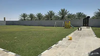 للإيجار اليومي مزرعة و اسطبل ببريدة 3