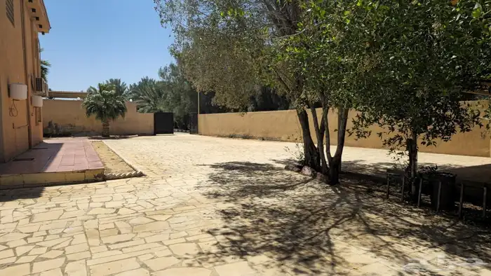 للإيجار اليومي مزرعة الجوهرة بالبكيرية 21
