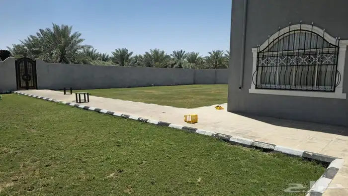 للإيجار اليومي مزرعة و اسطبل ببريدة 5