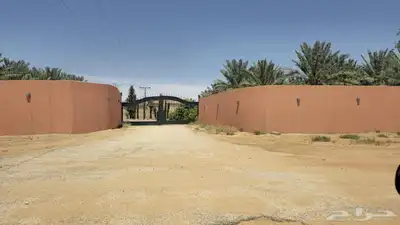 مزرعة الجوهرة للإيجار اليومي ببريدة 10
