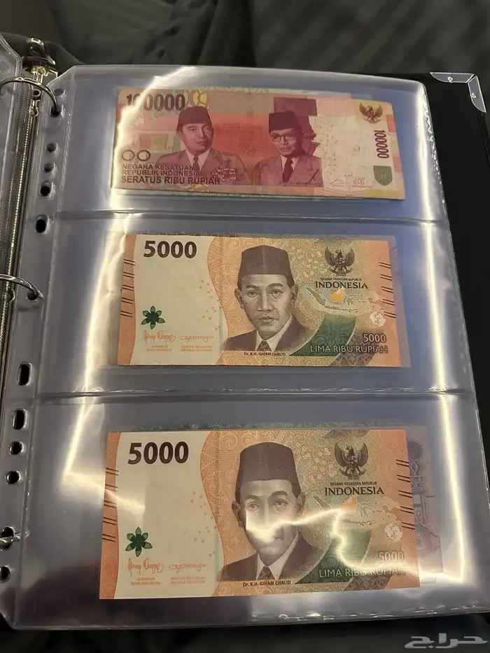 عملات 12