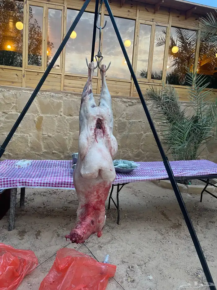 مشويات 9