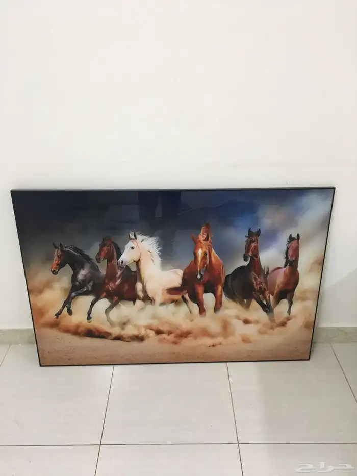 لوحه كبيره للبيع 200 ريال 0