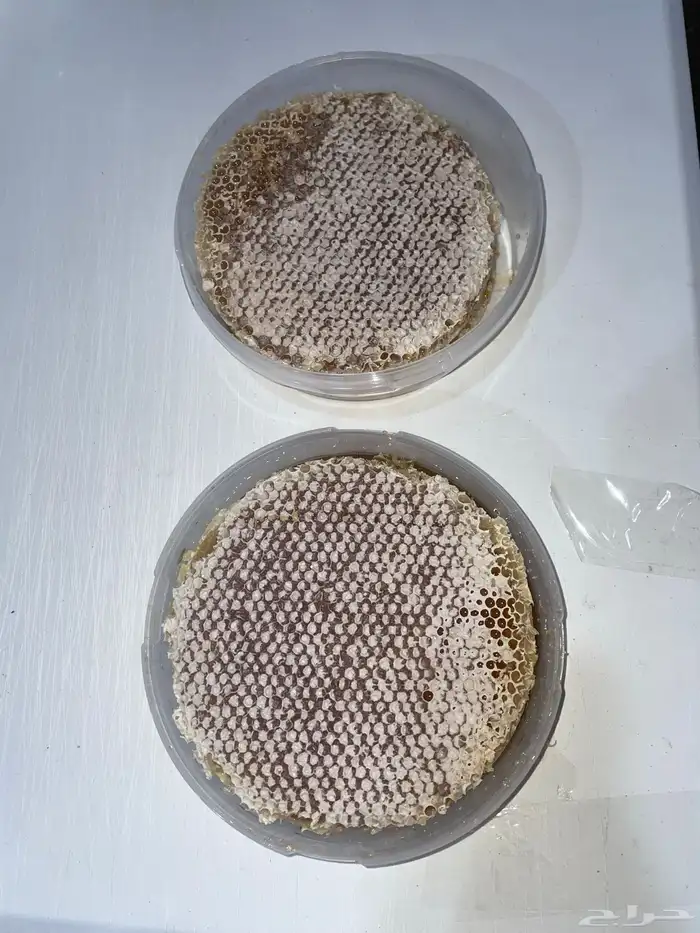 الجنوبي للعسل الأصلي 0