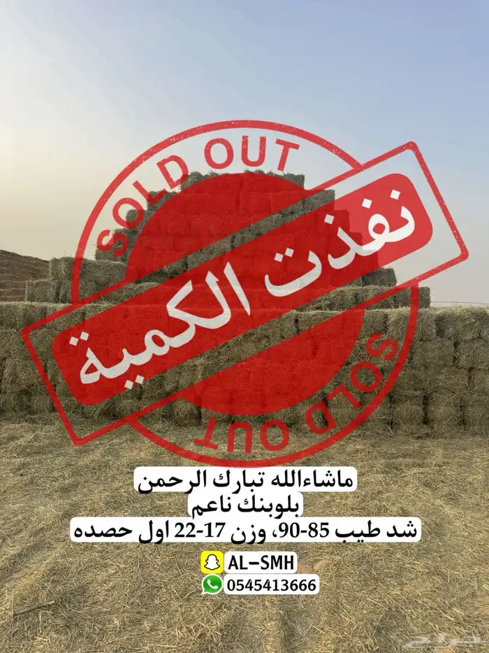بلوبنك جديد وناعم 3
