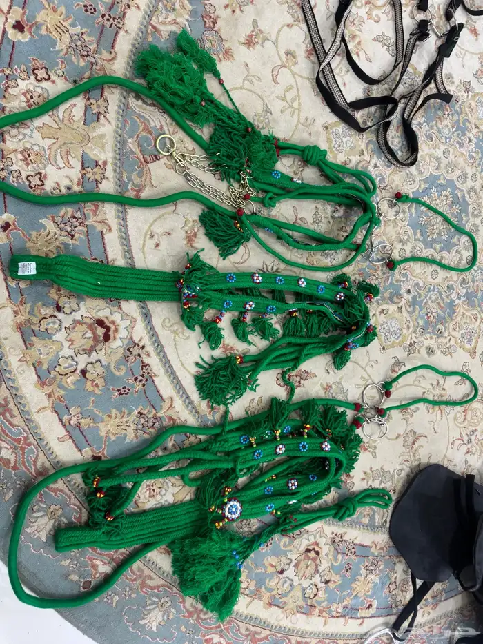 سرج خيول وجام عادي وجام زينه تراثي 3