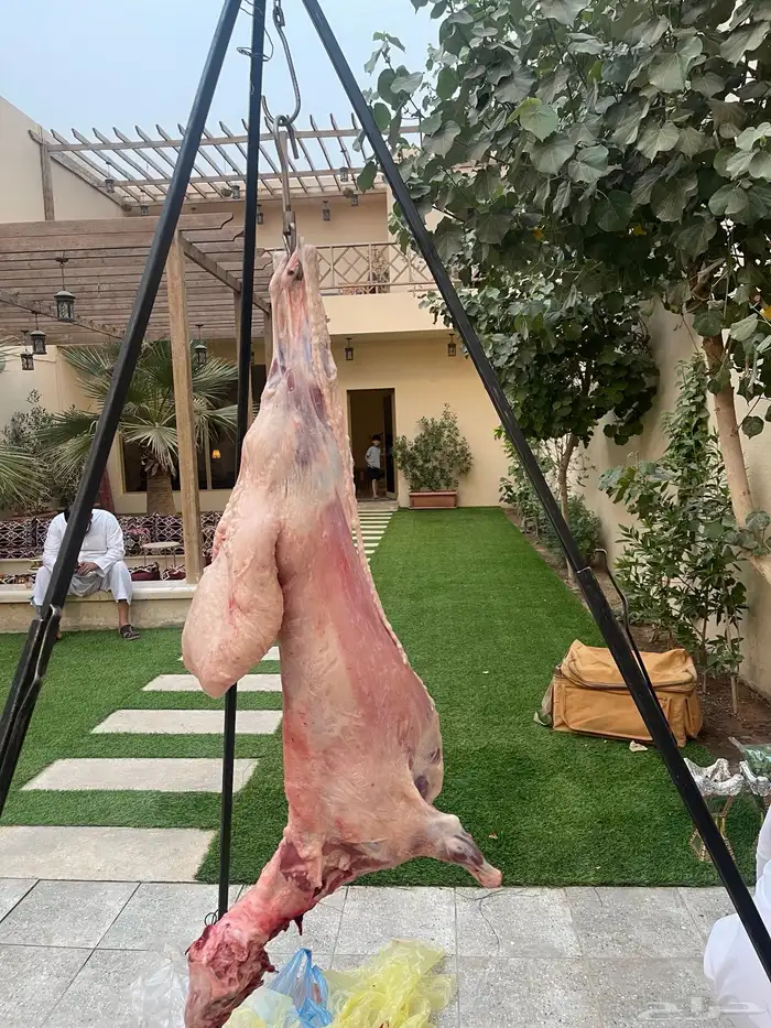 مشويات 6