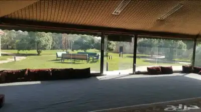 مزرعة الجوهرة للإيجار اليومي ببريدة 7
