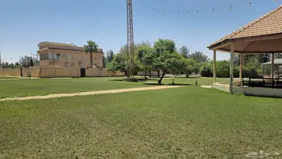 مزرعة الجوهرة للإيجار اليومي ببريدة 3
