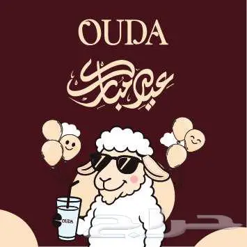 مصمم جرافيك 5
