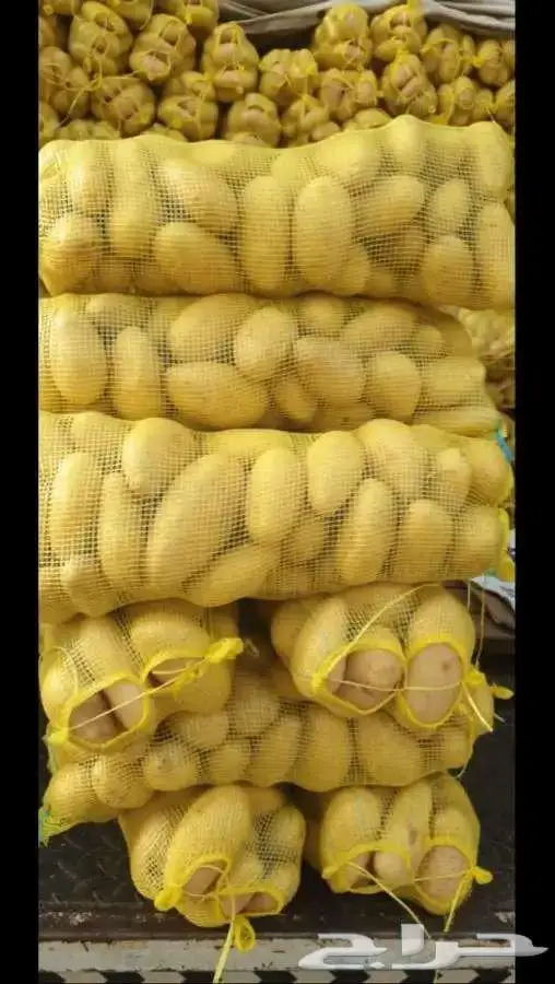 بطاطس بسعر رمزي 1