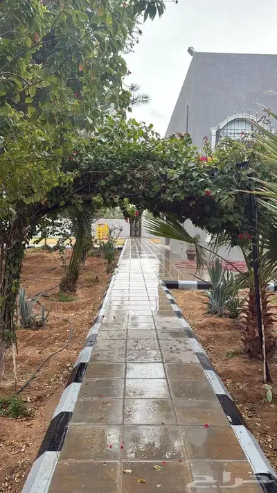 للإيجار اليومي مزرعة و اسطبل ببريدة 25