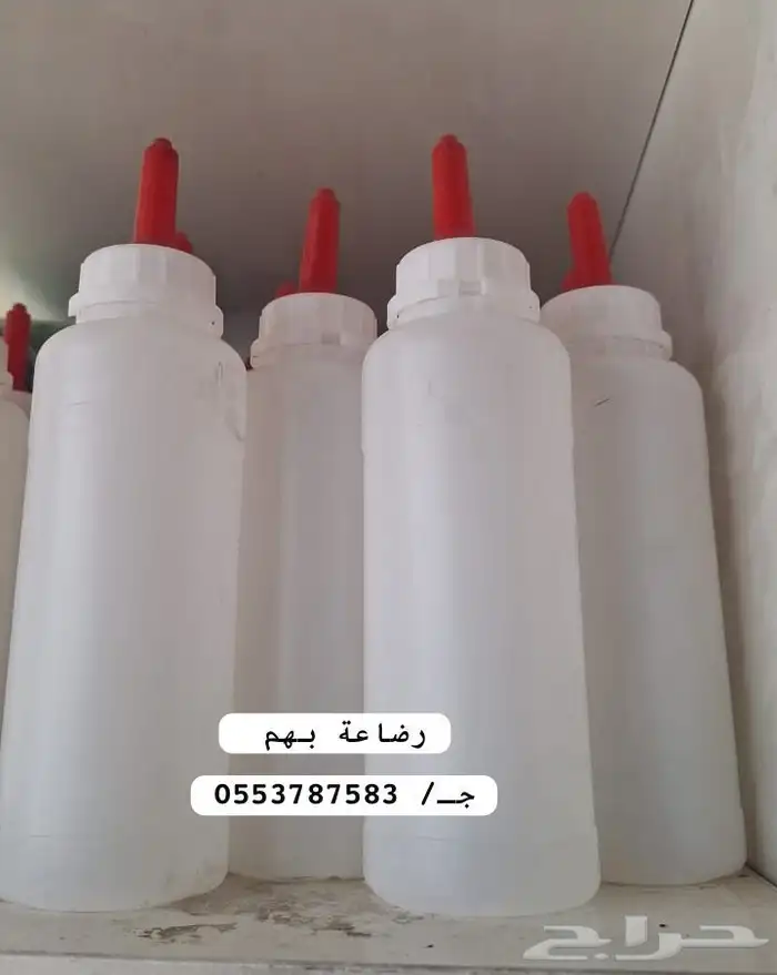 رضاعة بهم ( دواغير ) 0
