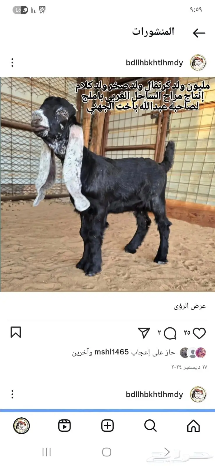 تم البيع ولله يبارك للجميع 1