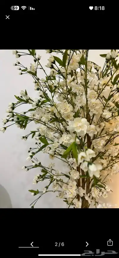 طاولة طعام مع 6 كراسي تفصيل للبيع 7