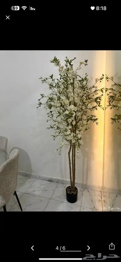 طاولة طعام مع 6 كراسي تفصيل للبيع 5