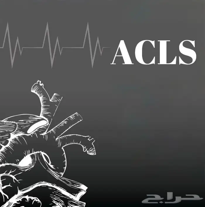 BLS 1