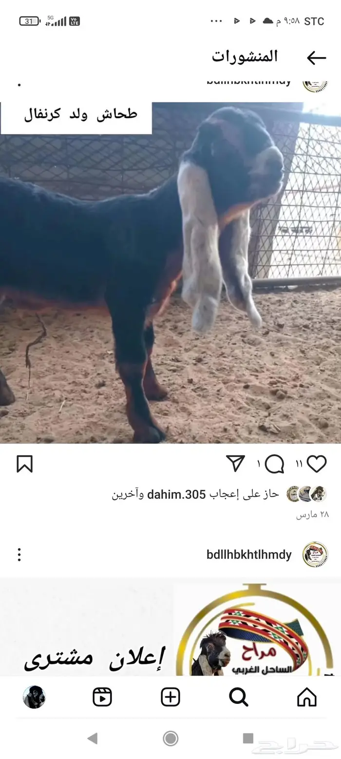 تم البيع ولله يبارك للجميع 0