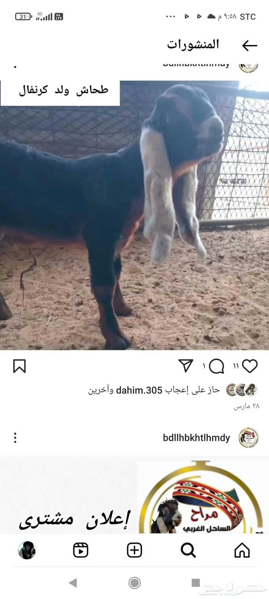 تم البيع ولله يبارك للجميع 0