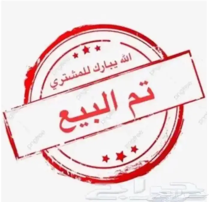 ماعز قزم الماني ( تم البيع ) 0