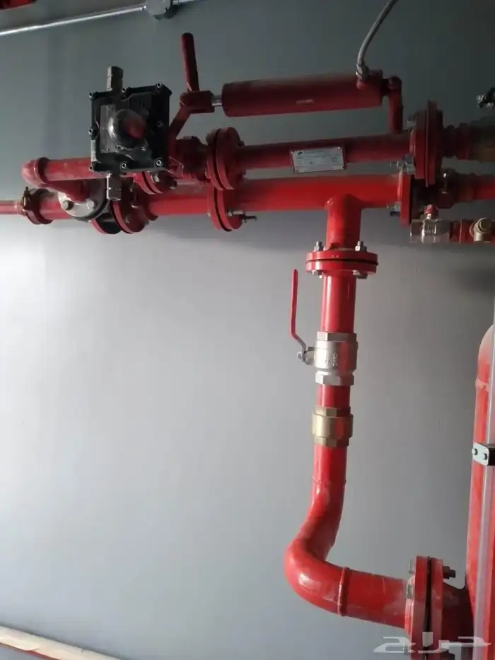 يحي المعلمي 13