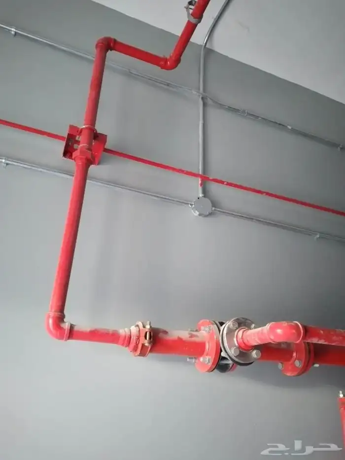 يحي المعلمي 11