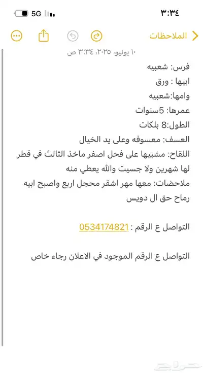 حيوان 0