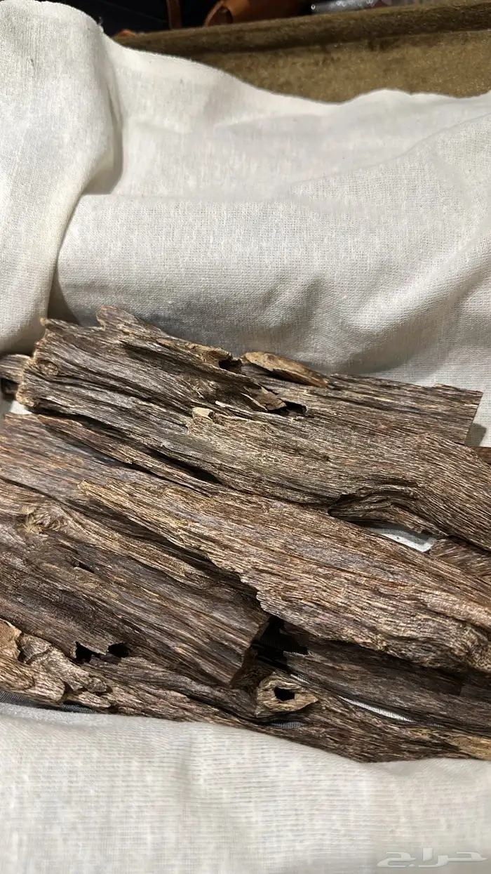 هندي احجام كبيره دبل وتربل سوبر 0