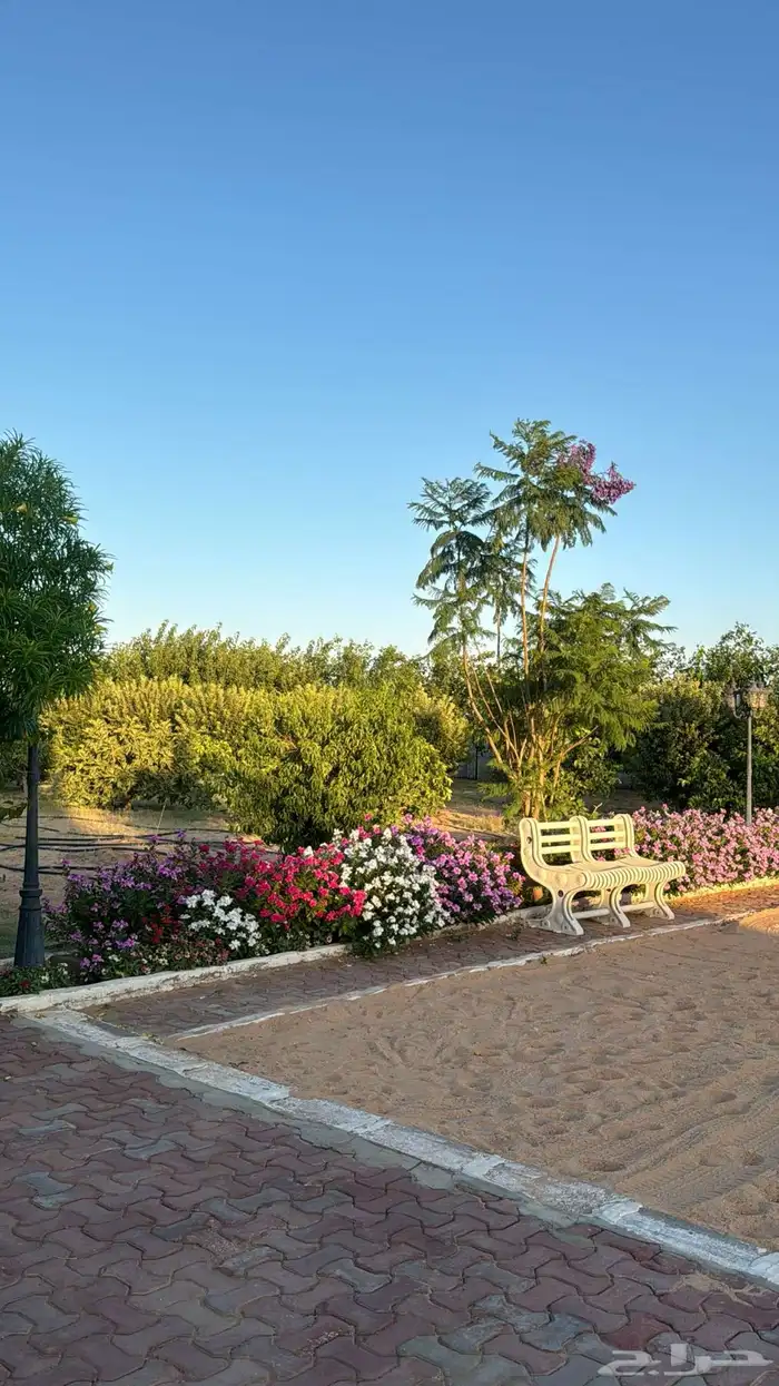 مزرعه منتجع شاليه 28